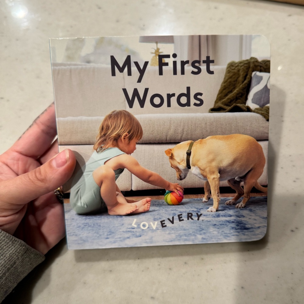 Lovevery Book - My First Words
